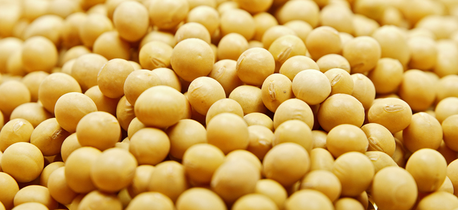 Soya beans